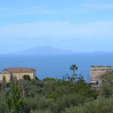 Casa Il Lentisco. Massa Lubrense