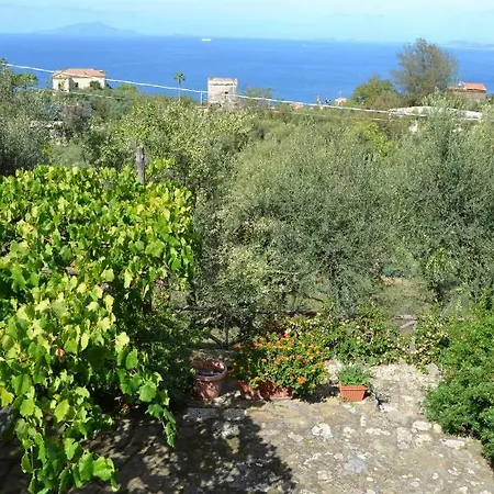Casa Il Lentisco. *