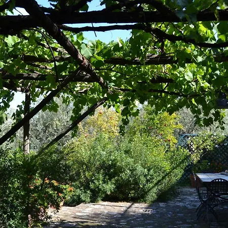 Casa Il Lentisco. Massa Lubrense