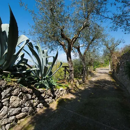 Casa Il Lentisco. *